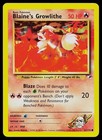 Blaine's Growlithe