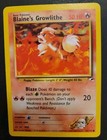 Blaine's Growlithe