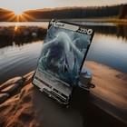 Lugia V