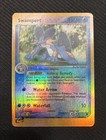Swampert