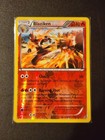 Blaziken