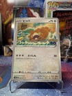 Bidoof