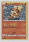Growlithe