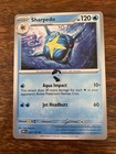 Sharpedo