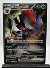 N's Zoroark Ex