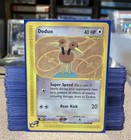 Doduo
