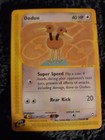 Doduo