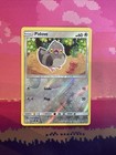 Pidove