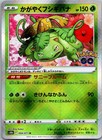 Radiant Venusaur