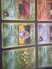 Team Rocket's Arbok