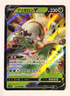 Chesnaught V