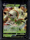 Chesnaught V