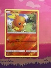 Torchic