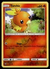 Torchic