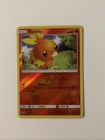 Torchic