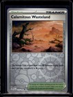 Calamitous Wasteland