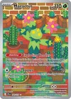 Maractus