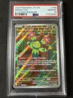 Maractus