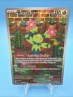 Maractus