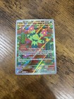 Maractus