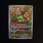 Maractus