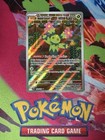 Maractus