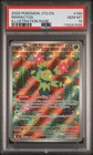 Maractus