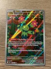 Maractus