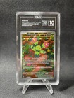 Maractus