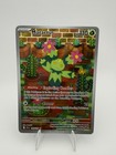 Maractus