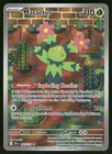 Maractus