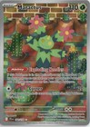 Maractus
