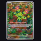 Maractus