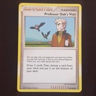Professor Oak's Visit