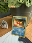 Magikarp
