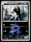 Team Aqua's Poochyena