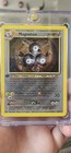 Magneton