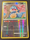 Munchlax