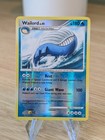 Wailord