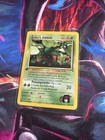 Erika's Oddish