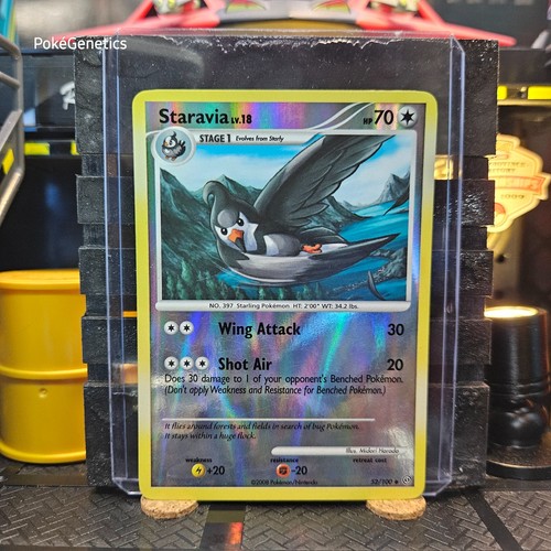 Staravia