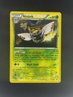 Ninjask