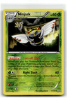 Ninjask