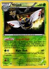 Ninjask