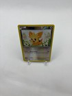 Lillipup
