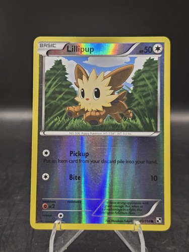 Lillipup