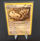 Furret