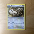Furret