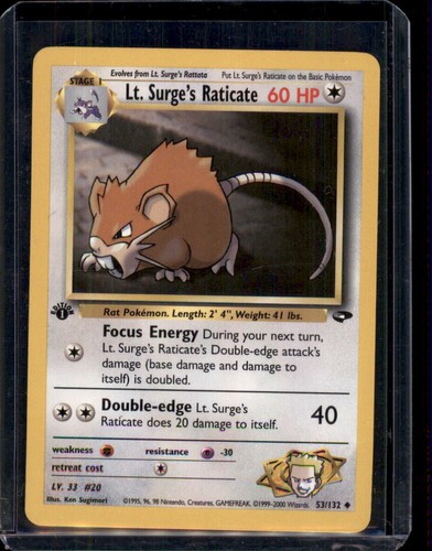 Lt. Surge's Raticate