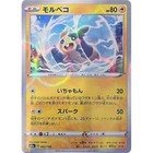 Morpeko
